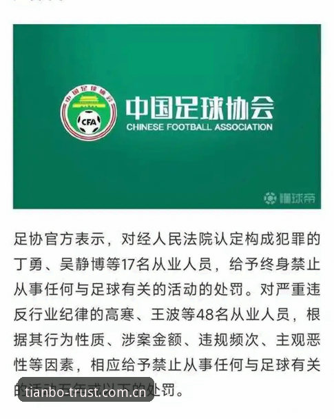 中国足球禁足名单深度解读教程：从处罚看行业生态与天博平台观赛体验
